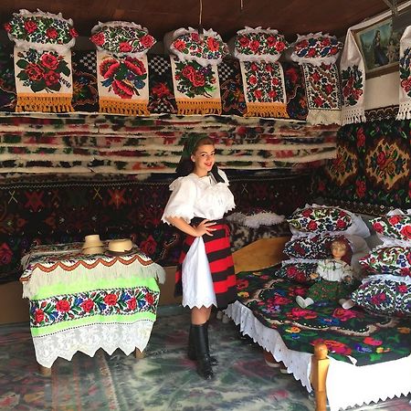 Pensiunea Maramures Ocna Şugatag Eksteriør billede