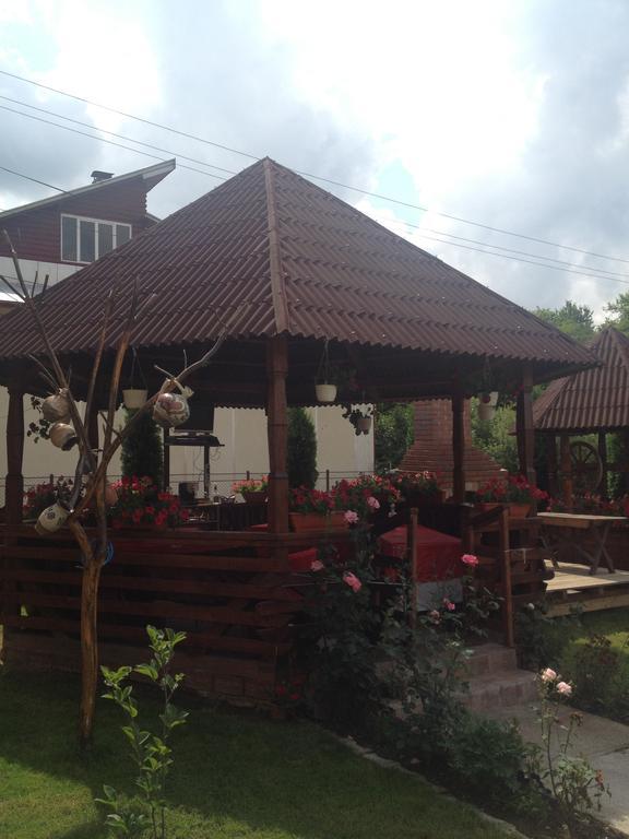 Pensiunea Maramures Ocna Şugatag Eksteriør billede