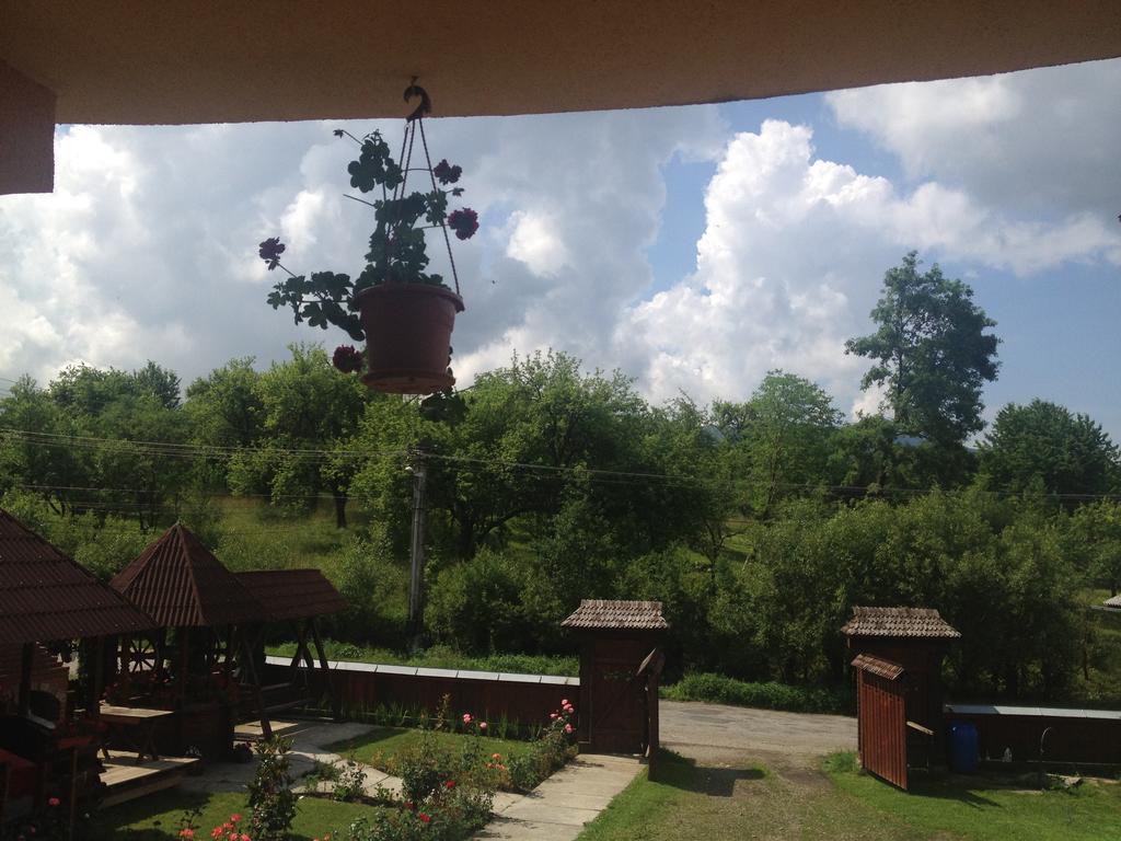 Pensiunea Maramures Ocna Şugatag Eksteriør billede