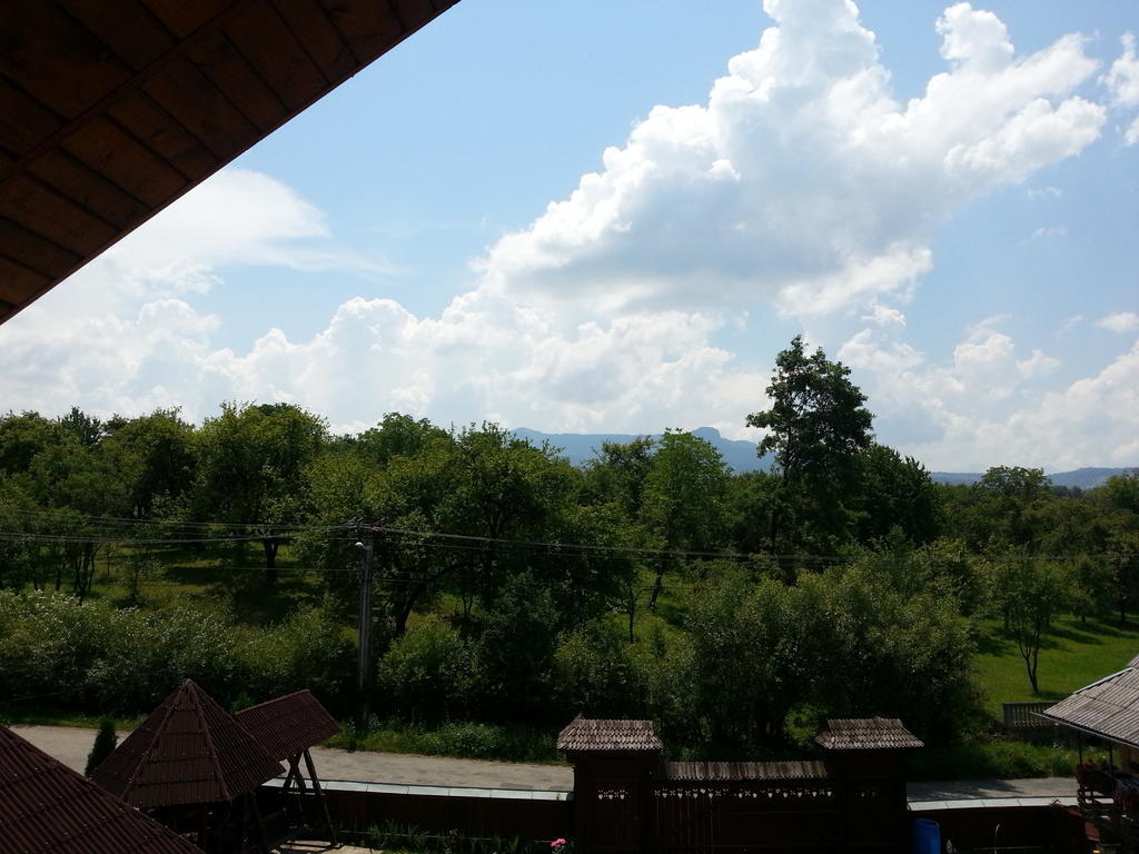 Pensiunea Maramures Ocna Şugatag Eksteriør billede