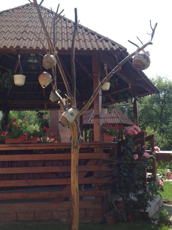 Pensiunea Maramures Ocna Şugatag Eksteriør billede