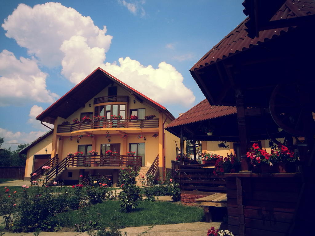 Pensiunea Maramures Ocna Şugatag Eksteriør billede