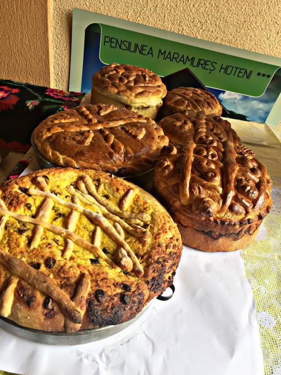 Pensiunea Maramures Ocna Şugatag Eksteriør billede