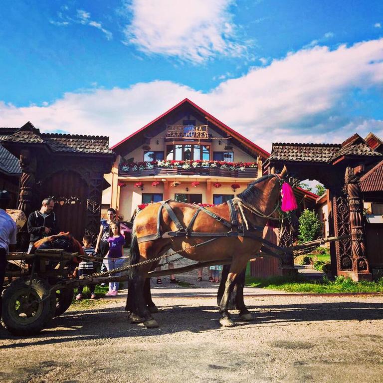 Pensiunea Maramures Ocna Şugatag Eksteriør billede