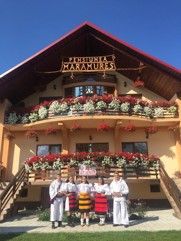 Pensiunea Maramures Ocna Şugatag Eksteriør billede