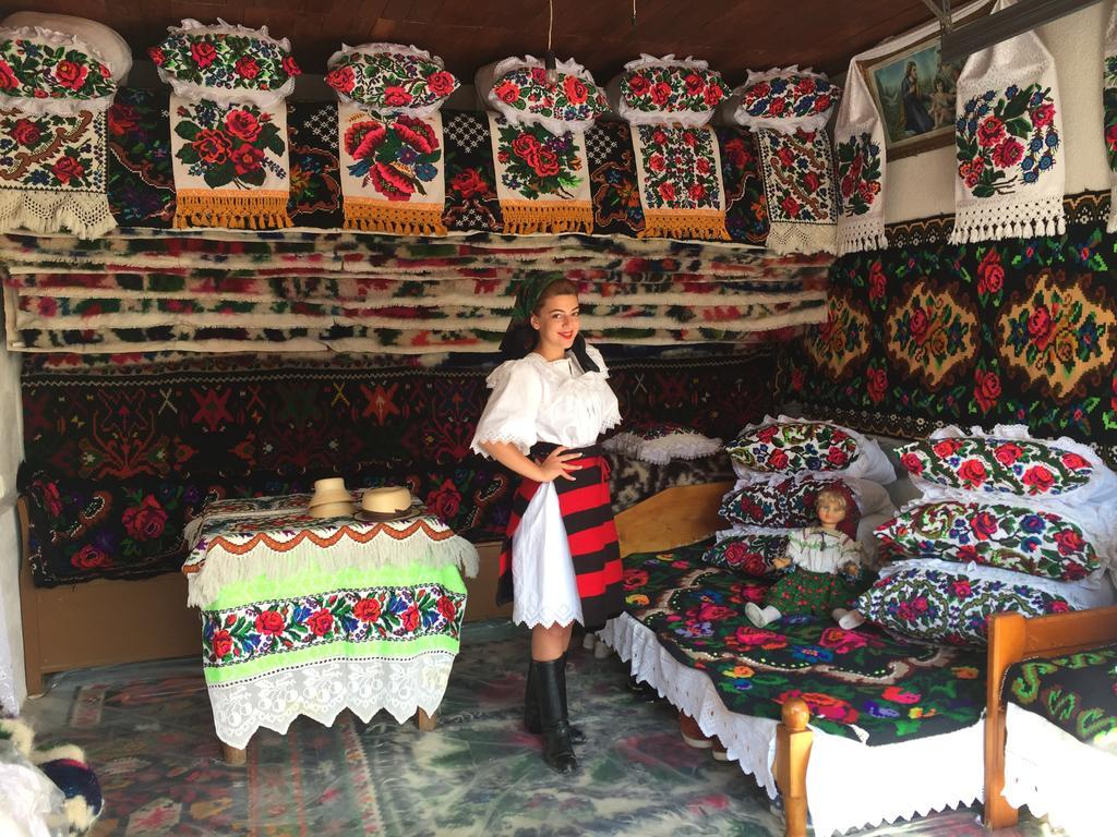Pensiunea Maramures Ocna Şugatag Eksteriør billede